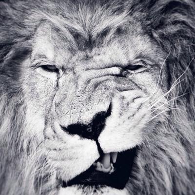 giuseppemirto7's profile picture. 16 / Firenze / GM / BLANCOS and AC MILAN's supporter