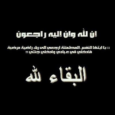 MQzgv's profile picture. 