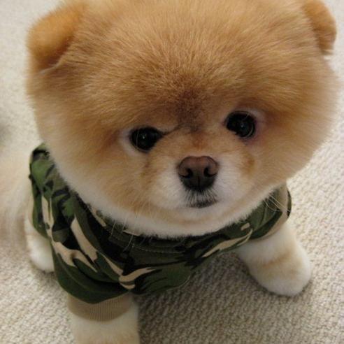 douradoft's profile picture. 