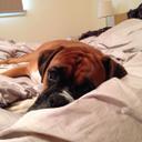 Jonathan Raby - @doctorjonty - Twitter