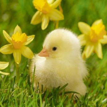 emmaloowho43's profile picture. Happiest