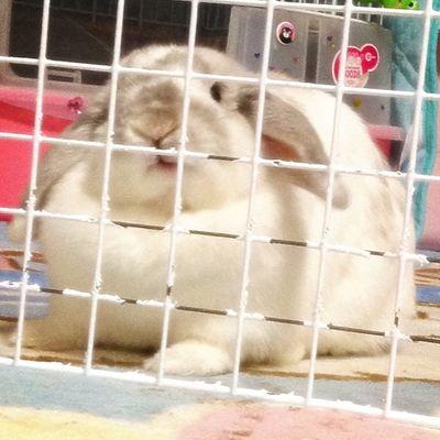 16Sachika's profile picture. あっ、ども。はじめまして。GReeeeN  &  東海オンエア大好きっ♡  follow me  σ(´∀ ｀●)  これ、本垢でーす。