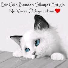 istanbulda yaşıyor evli