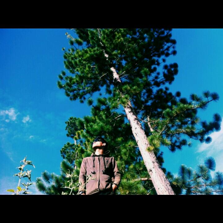 odybuzzo's profile picture. Follow My Business Laundry @dbuzzo_laundry