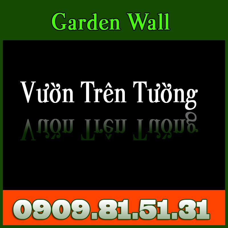 AnextGroup chuyên Thi công Vườn Trên Tường - Call 0909 81 51 31.