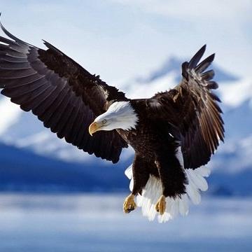 nprachka4's profile picture. 