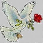 malakjaouad's profile picture. 