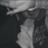 sara_alamay's profile image