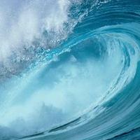 Shahul Hameed (@shahul537) 's Twitter Profile