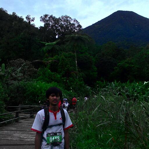 Mikos_Ziarcy's profile picture. nothing else