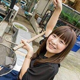 しまっくす