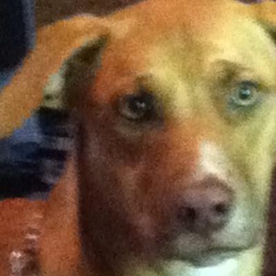 eason_mario's profile picture. 