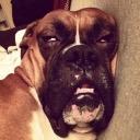 OPASHINJA's profile picture. DXオパシ