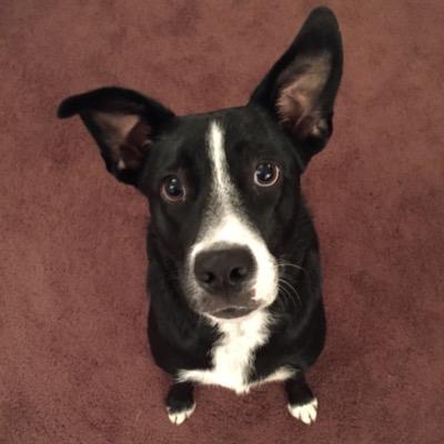 ksmvav's profile picture. 