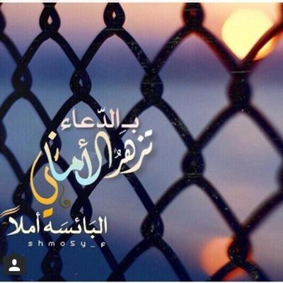 ننشر اقوال الدعاة والعلماء والافاضل والحكماء.. ننظر للحياة بتفاؤل .. نقوم بعمل رتويت لكل مفيد تضعونه في المنشن.. نثق بأننا نستطيع أن نقدم لك الافضل.. تابع وتمتع