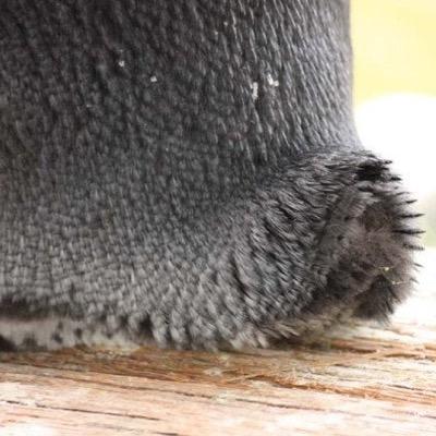 ななコロすけ。さんのプロフィール画像