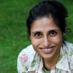 seema rao (@artlust) Twitter profile photo seema rao (@artlust) Twitter profile photo