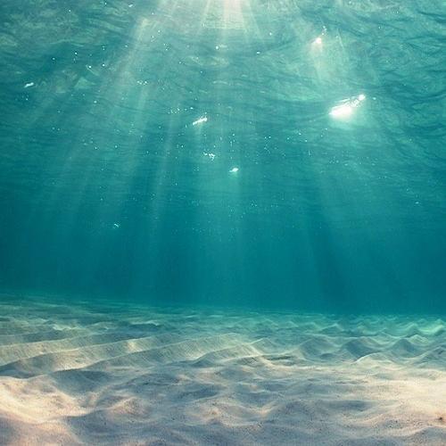 23StepsTopower's profile picture. 