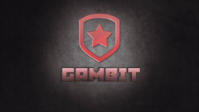 gmb_fansclub's profile picture. This is the gambit gaming fans club, created just because the team deserves it