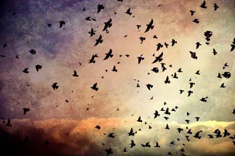 Juanita70815857's profile picture. Nunca te des por vencido