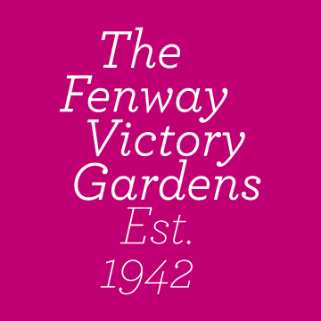 Official Twitter for the Fenway Victory Gardens, the oldest continuously operating World War II Victory Gardens in the United States.