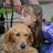 RuthieComfort's profile image