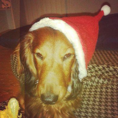 998b30e03d1f442's profile picture. pinkku