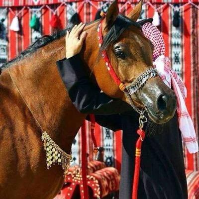email: salksalk9021@gmail.com I WANT GIRLS (arab)