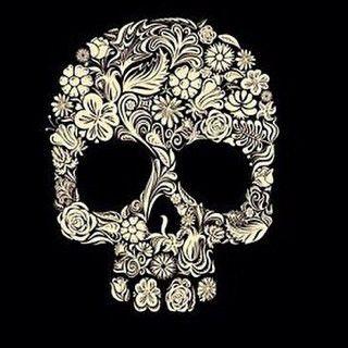 sho5_hfc Profile Picture
