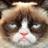 hastingue's profile image