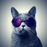 torvi2502's profile picture. 