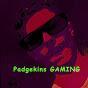 Official Twitter of Padgekins from youtube
