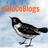 HoCoBlogs's profile image
