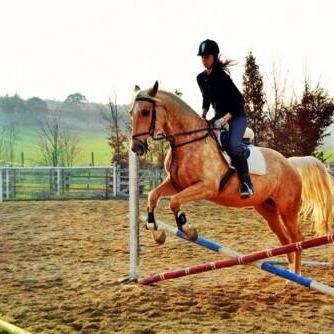 Druk zo snel mogelijk op de F O L L O W knop voor meer volgers, Paarden mijn leven ♥♥ In The Saddle Of The Horse ♥