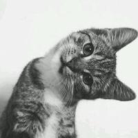 김민아 (@kimmina15) 's Twitter Profile Photo