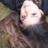 SabineYazbeck's profile image