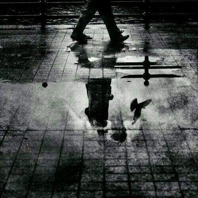 ‏‏‏‏‏‏‏‏باحثه في علم النفس  -الخاص مهمل    .1986