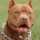 Dontavious Jackson - @DontaviousJack4 - Twitter