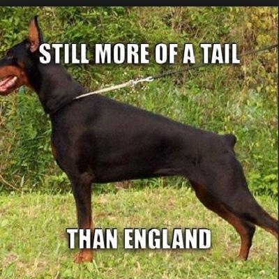 Bringing you cricket tweets daily!