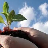 AparicioEduard's profile picture. 