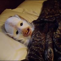 noel fielding (@noelfielding11) 's Twitter Profile Photo noel fielding (@noelfielding11) 's Twitter Profile Photo