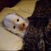 noel fielding (@noelfielding11) Twitter profile photo noel fielding (@noelfielding11) Twitter profile photo