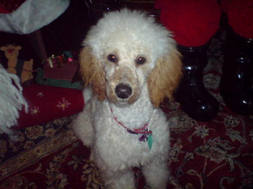 debcliff39's profile picture. 