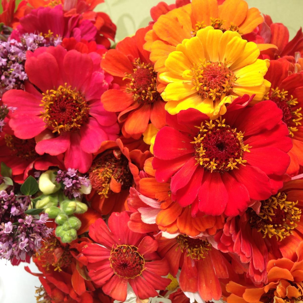 carmen_wakeling's profile picture. 