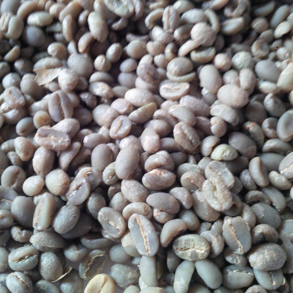 Partnering with farmers to produce highest quality Organic #Ethiopia|n #Coffee with Environmental Sustainability, Traceability, Compliance and accountability.