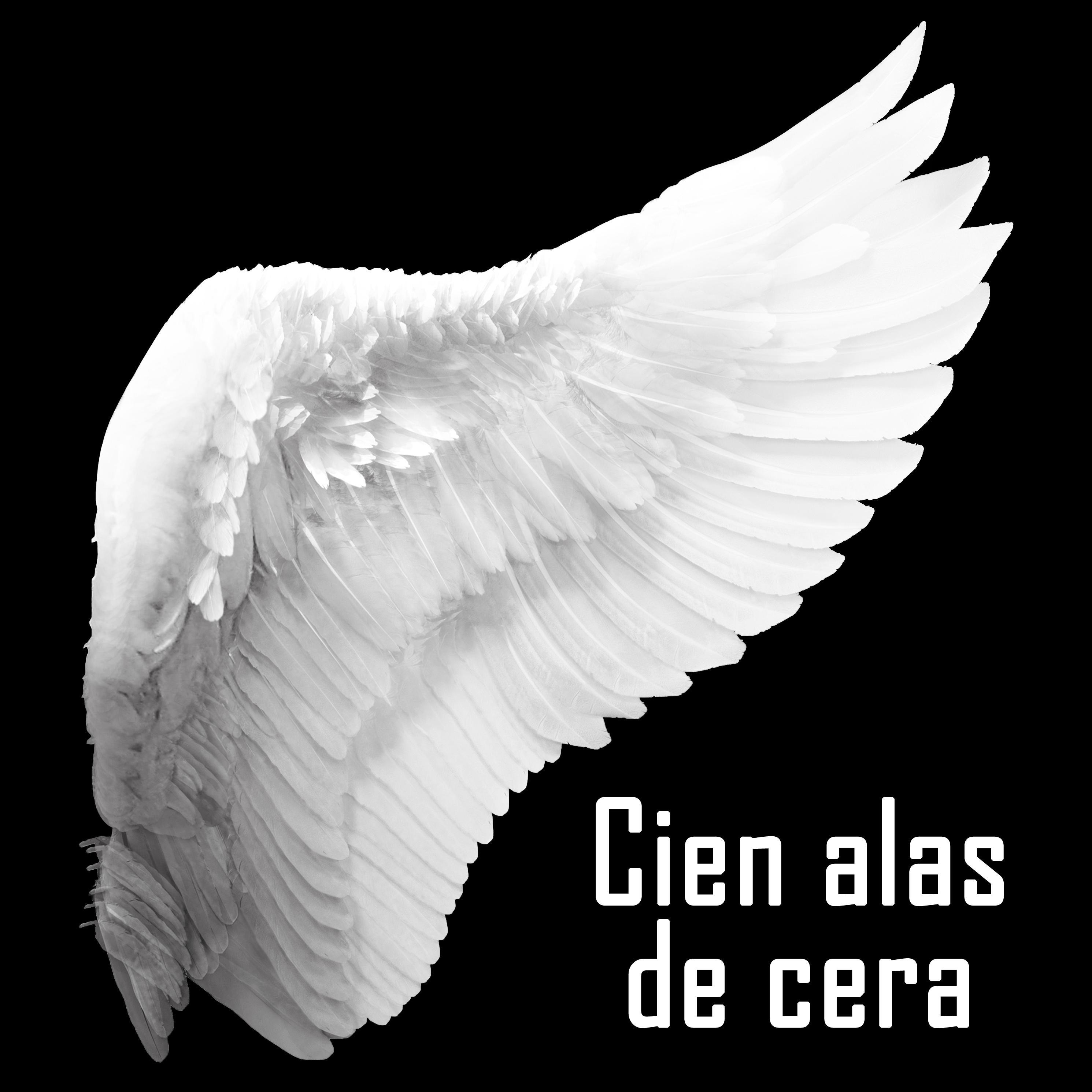 Si pudiera volaría más alto | http://t.co/xvY2oLSDBw