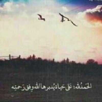 ebb123eb's profile picture. 