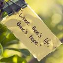 Millie Lee - @LeeMillie16 - Twitter