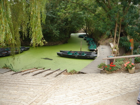 Nous sommes plus de 100 propriétaires de gîtes, chambres d'hôtes et restaurants réunis en association dans le Marais Poitevin et en Vendée.