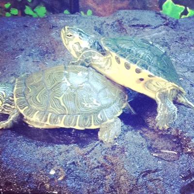 cgzsn14921952's profile picture. Cartoonist sketching life’s humor. Posting comics and art insights.